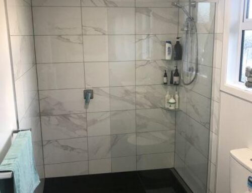 Level Entry Shower