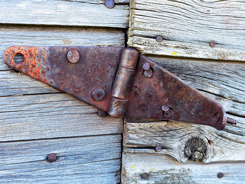 Outdoor house maintenance builder Whangarei