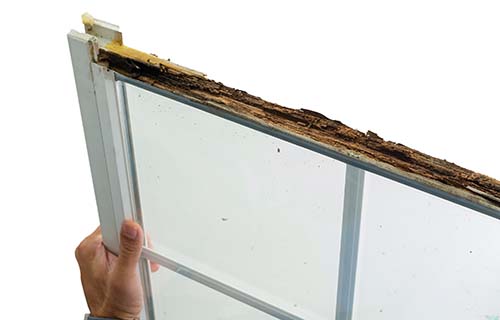 Builder for window and door replacement in commercial buildings