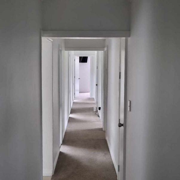 Full Interior Painting Refresh