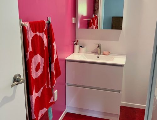 Ensuite renovation